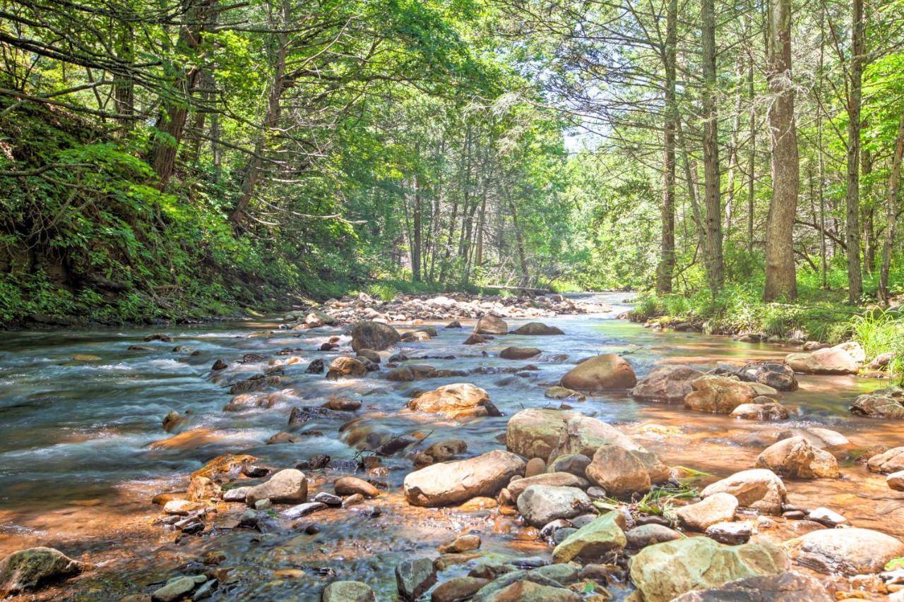 Clearwater Cabin On 10 Acres With Trout Stream! Monterey Eksteriør billede