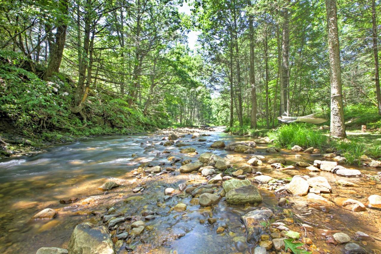 Clearwater Cabin On 10 Acres With Trout Stream! Monterey Eksteriør billede